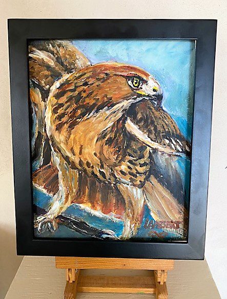 red_tailed_hawk_framed